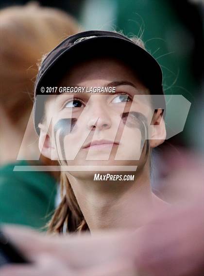 Thumbnail 3 in Ryan vs Birdville photogallery.
