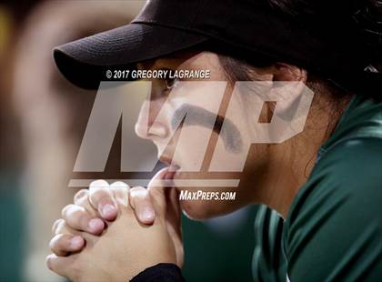 Thumbnail 2 in Ryan vs Birdville photogallery.