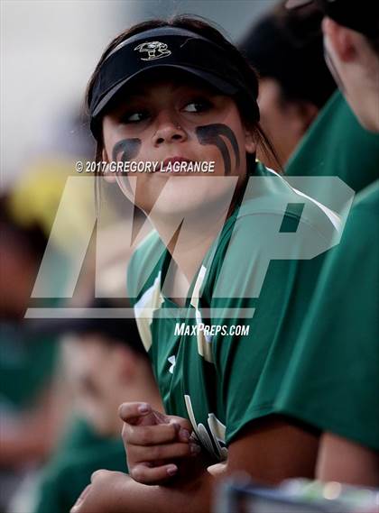 Thumbnail 2 in Ryan vs Birdville photogallery.