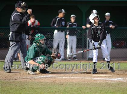 Thumbnail 3 in Sheldon vs. Thurston photogallery.