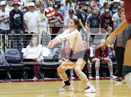 Thumbnail 2 in Iola vs. Schulenburg (UIL 2A Volleyball Semifinal) photogallery.