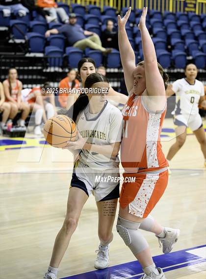 Thumbnail 3 in Walnut Ridge @ Wynne (Wynne Classic) photogallery.