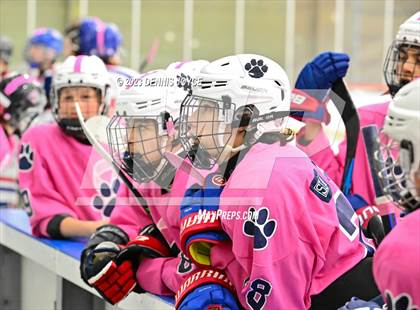 Thumbnail 2 in Fairport @ Pittsford photogallery.