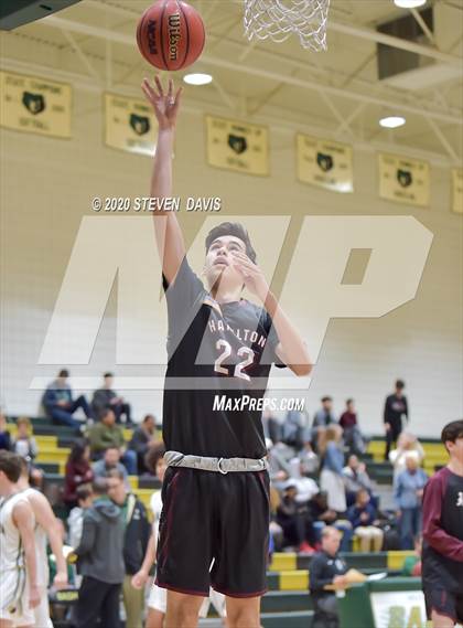 Thumbnail 1 in Basha @ Hamilton photogallery.