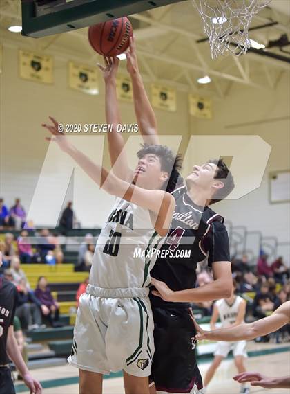 Thumbnail 2 in Basha @ Hamilton photogallery.