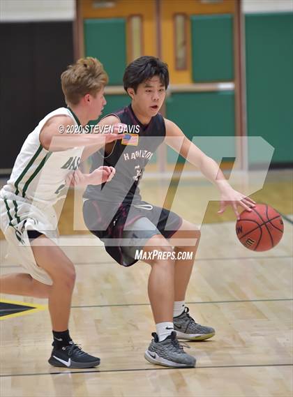 Thumbnail 3 in Basha @ Hamilton photogallery.