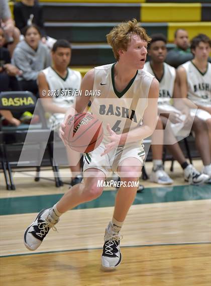 Thumbnail 3 in Basha @ Hamilton photogallery.