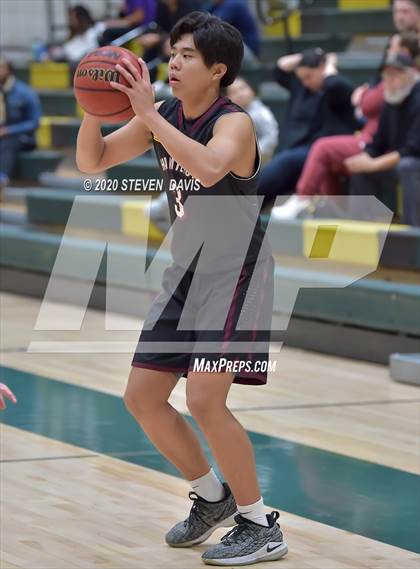 Thumbnail 2 in Basha @ Hamilton photogallery.