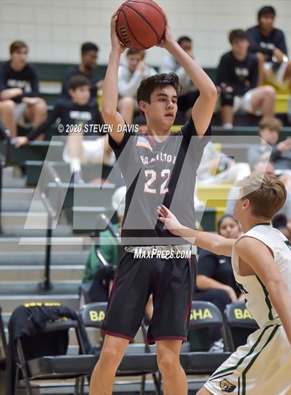 Thumbnail 1 in Basha @ Hamilton photogallery.