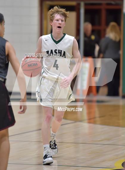 Thumbnail 2 in Basha @ Hamilton photogallery.