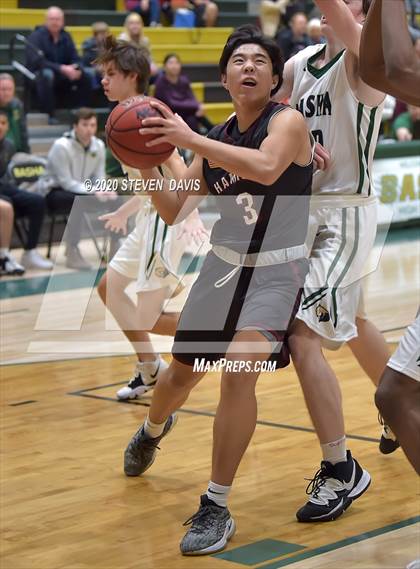 Thumbnail 3 in Basha @ Hamilton photogallery.