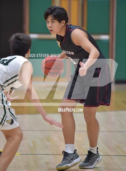 Thumbnail 3 in Basha @ Hamilton photogallery.