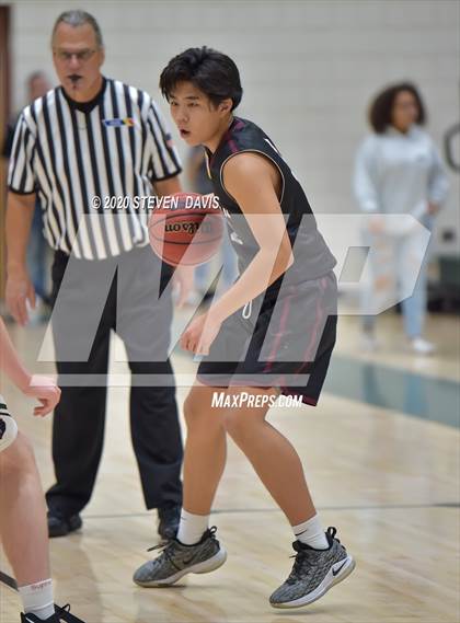 Thumbnail 2 in Basha @ Hamilton photogallery.