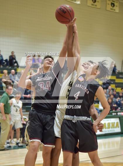 Thumbnail 1 in Basha @ Hamilton photogallery.