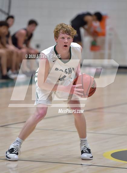 Thumbnail 3 in Basha @ Hamilton photogallery.