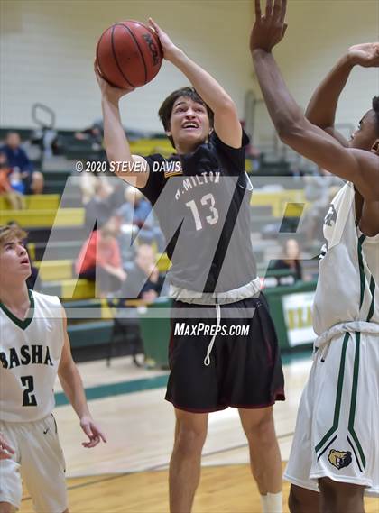 Thumbnail 3 in Basha @ Hamilton photogallery.