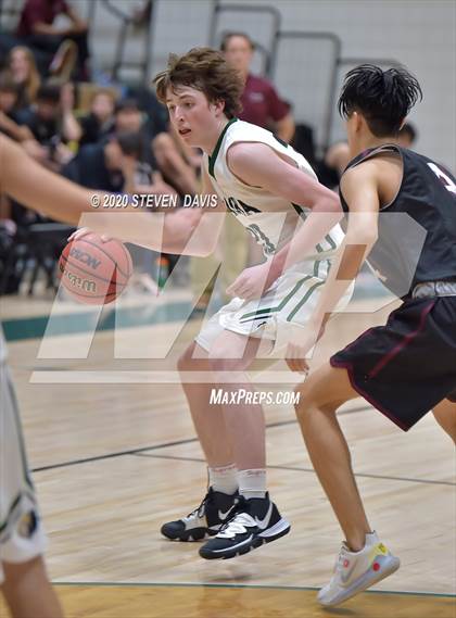 Thumbnail 1 in Basha @ Hamilton photogallery.