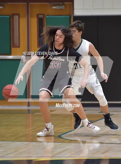 Thumbnail 2 in Basha @ Hamilton photogallery.