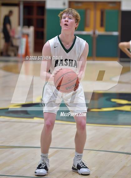 Thumbnail 3 in Basha @ Hamilton photogallery.
