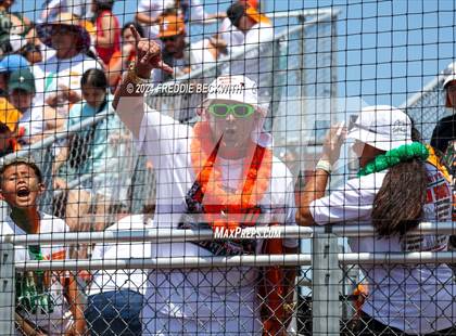 Thumbnail 2 in Aledo vs. Harlingen South (UIL 5A Softball Semifinal) photogallery.