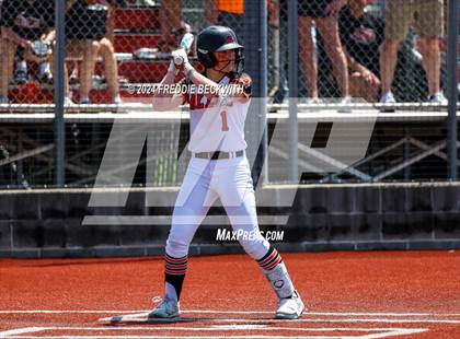 Thumbnail 1 in Aledo vs. Harlingen South (UIL 5A Softball Semifinal) photogallery.