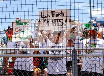Thumbnail 1 in Aledo vs. Harlingen South (UIL 5A Softball Semifinal) photogallery.