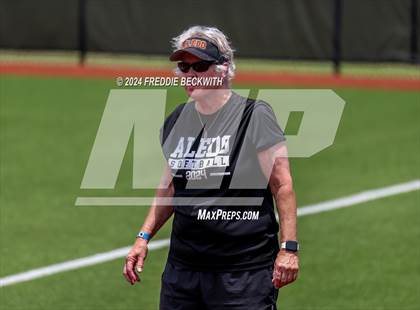 Thumbnail 2 in Aledo vs. Harlingen South (UIL 5A Softball Semifinal) photogallery.