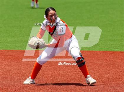 Thumbnail 1 in Aledo vs. Harlingen South (UIL 5A Softball Semifinal) photogallery.