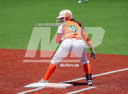 Thumbnail 1 in Aledo vs. Harlingen South (UIL 5A Softball Semifinal) photogallery.