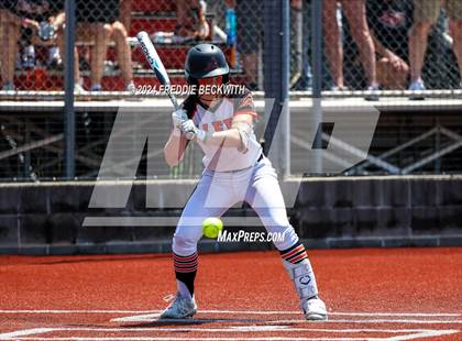 Thumbnail 2 in Aledo vs. Harlingen South (UIL 5A Softball Semifinal) photogallery.