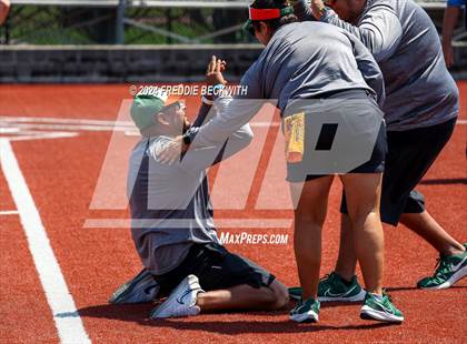 Thumbnail 1 in Aledo vs. Harlingen South (UIL 5A Softball Semifinal) photogallery.