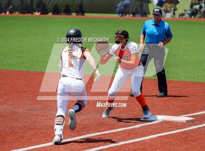 Thumbnail 1 in Aledo vs. Harlingen South (UIL 5A Softball Semifinal) photogallery.