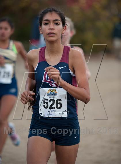 Thumbnail 2 in CIF SS Cross Country Championships (Girls D1) photogallery.