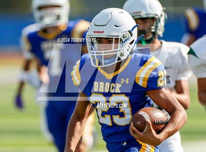 Thumbnail 3 in Lake Worth @ Brock photogallery.