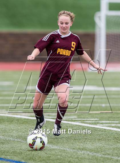 Thumbnail 2 in Ponderosa vs. Legend photogallery.