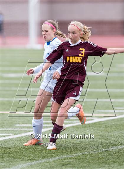 Thumbnail 3 in Ponderosa vs. Legend photogallery.