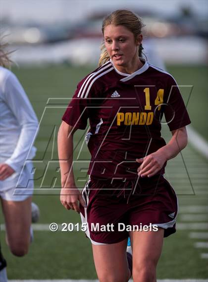 Thumbnail 1 in Ponderosa vs. Legend photogallery.