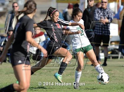 Thumbnail 1 in Long Beach Poly vs. San Clemente (Excalibur Tournament) photogallery.