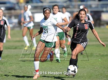 Thumbnail 1 in Long Beach Poly vs. San Clemente (Excalibur Tournament) photogallery.