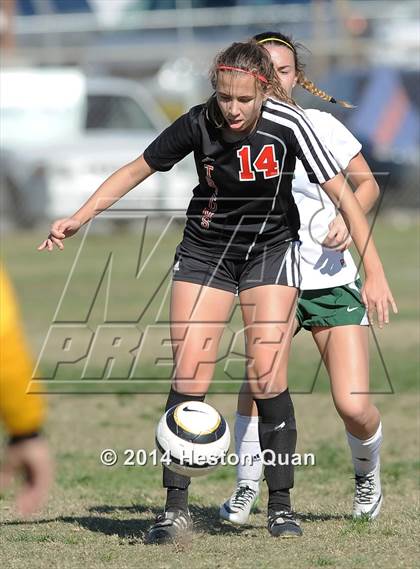 Thumbnail 3 in Long Beach Poly vs. San Clemente (Excalibur Tournament) photogallery.