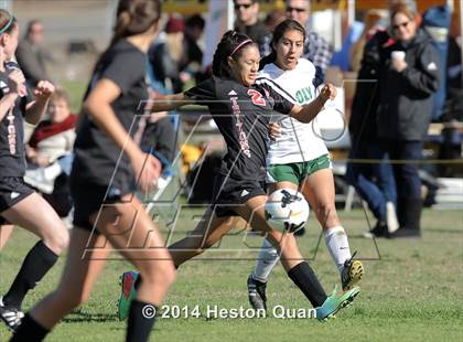 Thumbnail 2 in Long Beach Poly vs. San Clemente (Excalibur Tournament) photogallery.
