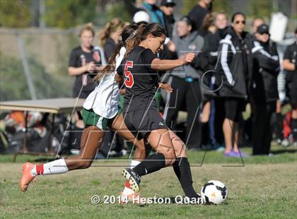 Thumbnail 1 in Long Beach Poly vs. San Clemente (Excalibur Tournament) photogallery.