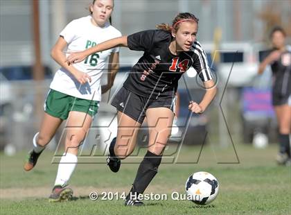 Thumbnail 1 in Long Beach Poly vs. San Clemente (Excalibur Tournament) photogallery.