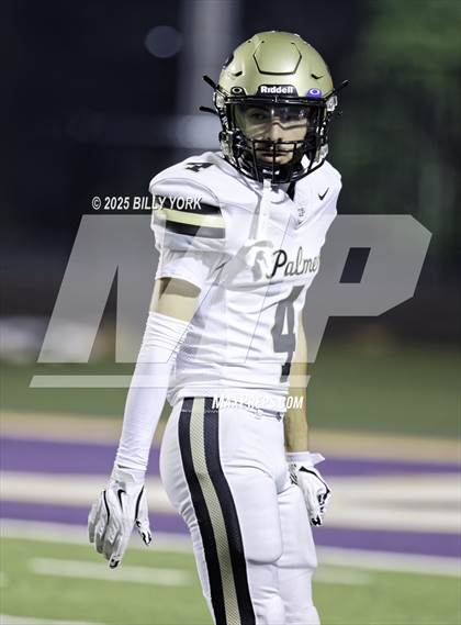 Thumbnail 1 in Edgewood vs Palmer photogallery.