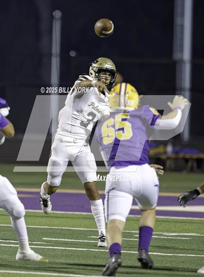 Thumbnail 3 in Edgewood vs Palmer photogallery.