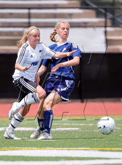 Thumbnail 3 in Peak to Peak vs. Kent Denver (CHSAA 3A Semifinal) photogallery.