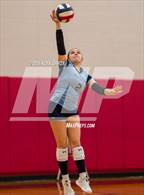 Photo from the gallery "Round Rock @ Johnson"