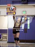 Photo from the gallery "Stagg @ Tokay"