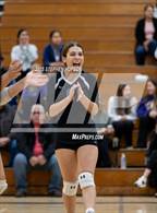 Photo from the gallery "Stagg @ Tokay"