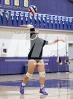 Photo from the gallery "Stagg @ Tokay"